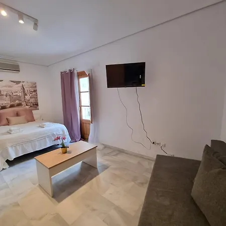 Magnifico Loft Sevillano En El Centro Seville