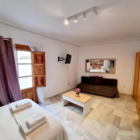 Apartment Magnifico Loft Sevillano En El Centro Seville