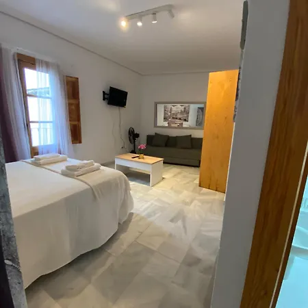 Magnifico Loft Sevillano En El Centro