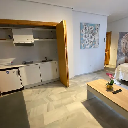 Magnifico Loft Sevillano En El Centro