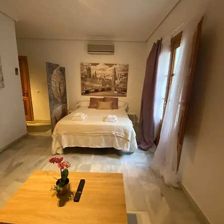 Magnifico Loft Sevillano En El Centro